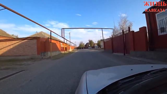 Дойкар Ойл