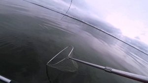Рыбалка на Горьковском водохранилище!