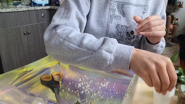 PLANT CHORES! How To Propagate Hoya Fast & Easy!! ? propagate Hoya with me ? смотреть онлайн