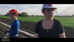 Арбуз в открытом грунте. Итоги апреля.