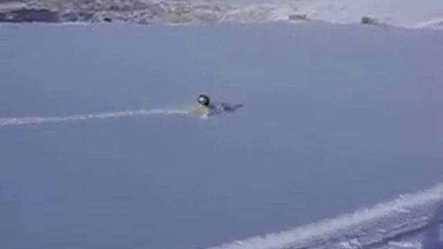 В пухляк смотреть онлайн