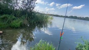 Ловим раков ?. Обедаем ? семьей на природе. На безрыбье и рак рыба)) рыбалка