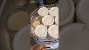 Йогуртница Мулинекс. Сделали йогурты. Итог.