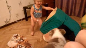 австралийская овчарка и ребенок