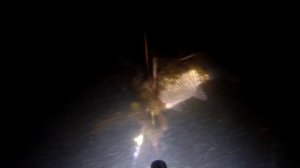 Подводная охота на Днепре.