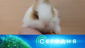 «Сегодня»: 31 декабря 2022 года. 08:00 | Выпуск новостей | Новости НТВ