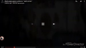 Мангл и Фокси мой котик