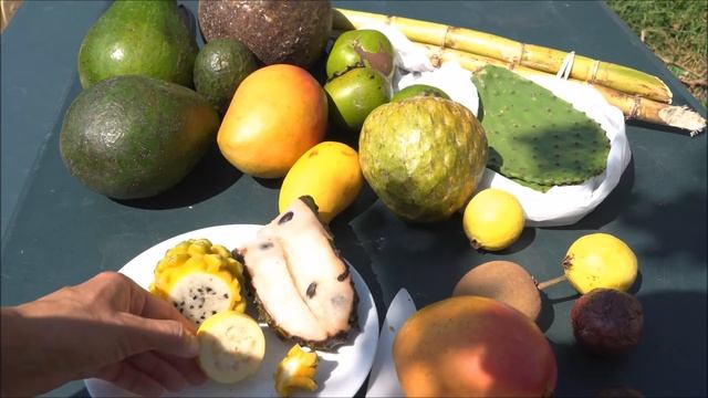 Пробуем тропические фрукты. Часть1/Tropical fruit sampling. Part 1