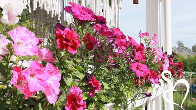 Шавасана - практика глубокой релаксации для здоровья и избавления от стресса 10 минут.