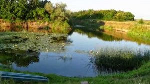 Битюг - пока еще нетронутая чистейшая река Центральной России