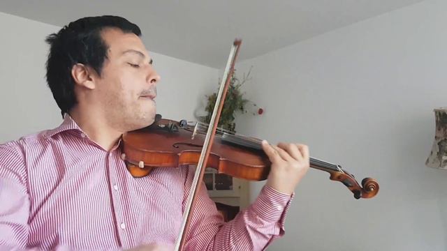 Paraphrase on Tarantella Napoletana played by Daniel Mihai