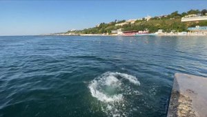 Как научиться делать Сальто вперед в воду