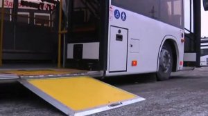 Новые автобусы