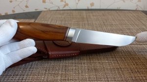 Elmax в аризонке