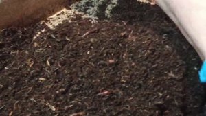 Альтернатива торфу. Очередной эксперимент. Часть 2.