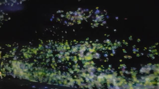 2017.02.09 - Сингапур. Музей искусства и науки. смотреть онлайн