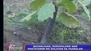 Abono donates top soil for school gardening project in Dagupan