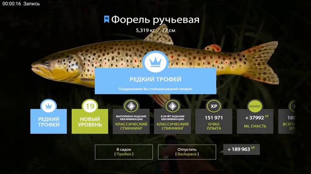 #РР4 редкий трофей форель ручьевая