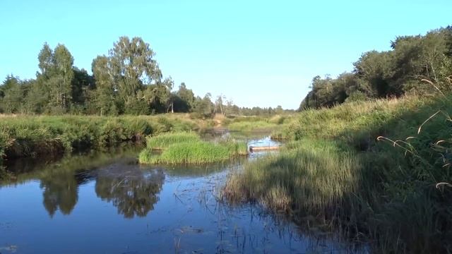 Сплав по реке Медведица. Поход на байдарке. Река Медведица от Мирного