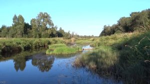 Сплав по реке Медведица. Поход на байдарке. Река Медведица от Мирного