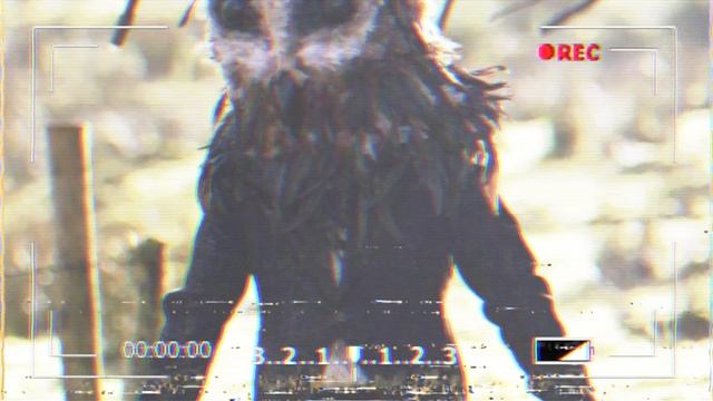 Кто такой Humanoid Owl | Сова Гуманоид | Человекоподобная Сова