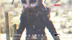 Кто такой Humanoid Owl | Сова Гуманоид | Человекоподобная Сова