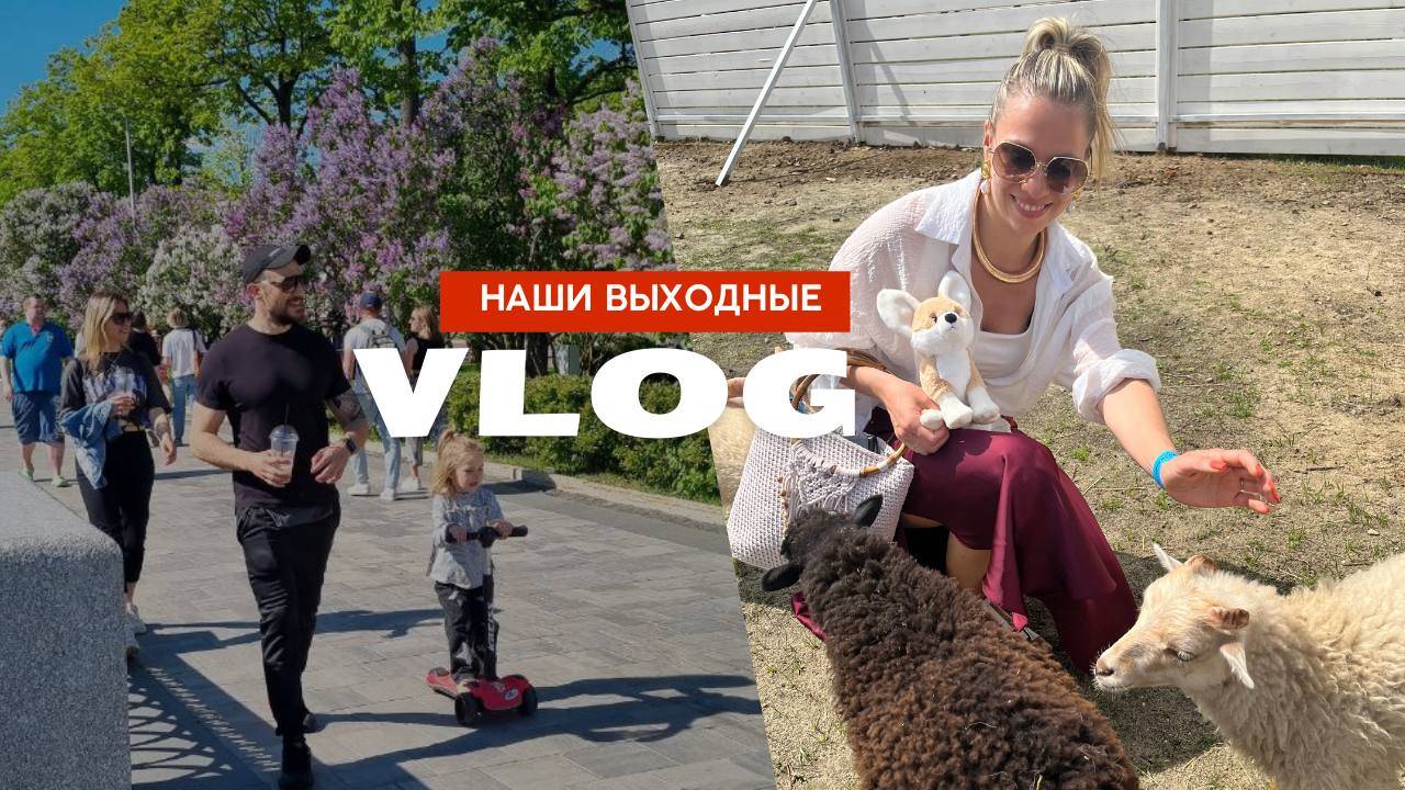 ВЛОГ. ВЫХОДНЫЕ С СЕМЬЕЙ И ДРУЗЬЯМИ. ЛУЖНИКИ. ФЕРМА АЛЬПАК. УСАДЬБА ГРЕБНЕВО