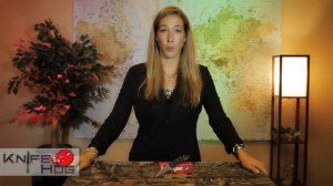 Kershaw Leek Review | KnifeHog