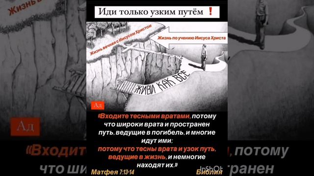 Входите тесными вратами! Обращение к верующим!Не совершай ошыбок.#рай#или #ад#словобожье#салтаненко