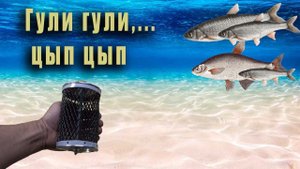 Кормушка для рыбы