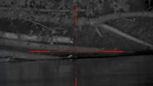 Охота на бобра с 22 LR , винтовка ТОЗ 78 01 , прицел Pulsar C 50, растояние 81 метр.