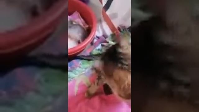 И что бы ни случилось  не падай духом.