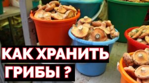 Как можно хранить грибы ?