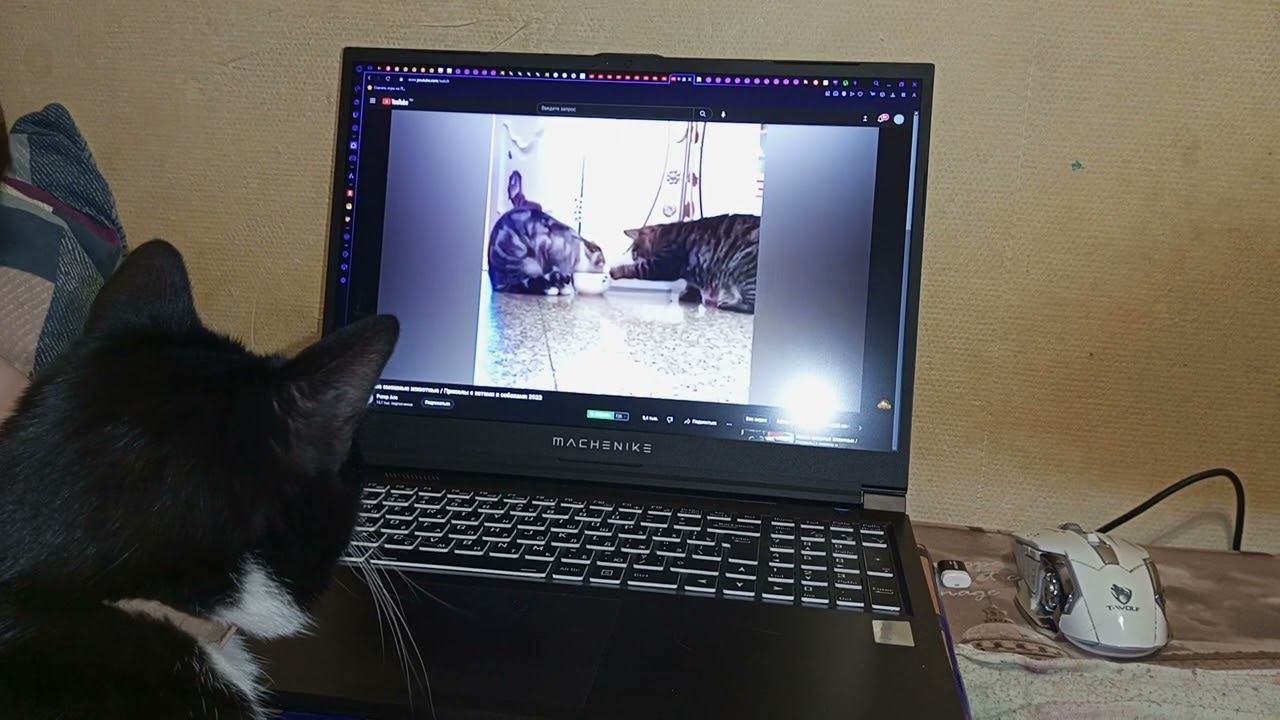 25 марта 2024 г. смотреть онлайн