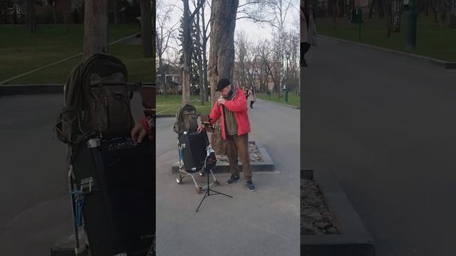 Харьков, танцы в саду,песенка из "Карнавальной ночи" смотреть онлайн