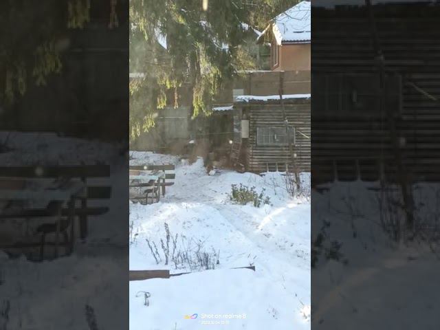 4 декабря 2022 г. смотреть онлайн