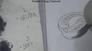 How to Shade Tomato in Charcoal