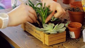 Красивый сад, созданный обычными дачниками. Ландшафтный дизайн на пустом участке