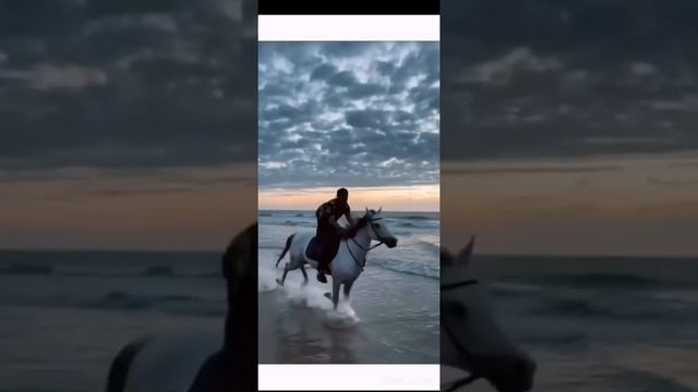 "Приду в твою осень", автор Monja #стихи #поэзия смотреть онлайн