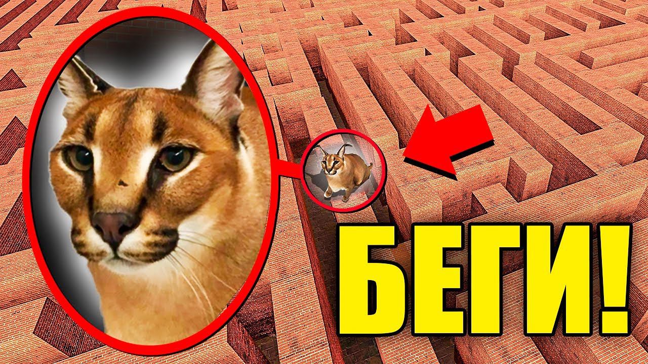 ЕСЛИ УВИДИШЬ ЭТОГО СТРАШНОГО ШЛЁПУ В ЛАБИРИНТЕ, СРОЧНО БЕГИ! УГАР И БЕЗУМИЕ В Garry`s Mod