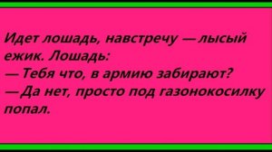Анекдоты про ёжиков