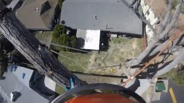 Sparks Cottonwood Removal 3 2016 смотреть онлайн