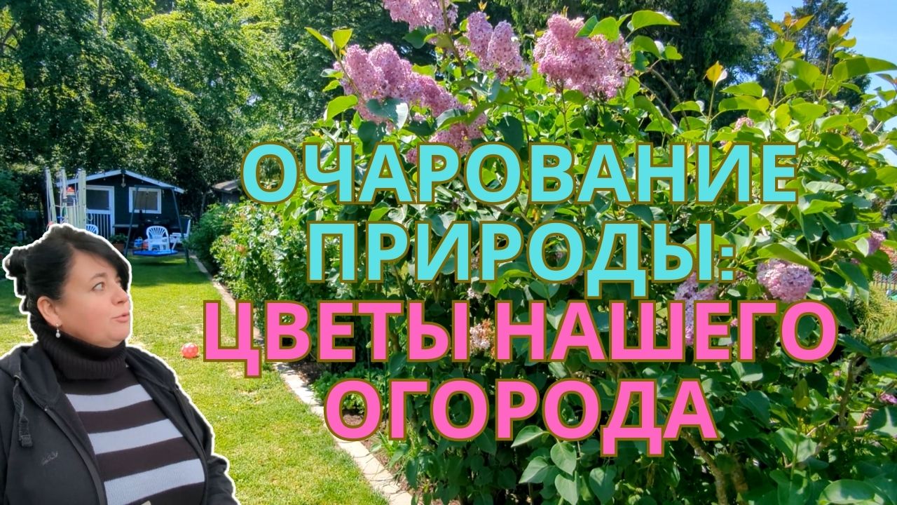 Прогулка по моему цветущему саду: Разнообразие красок и красота природы ?? Просто Мария