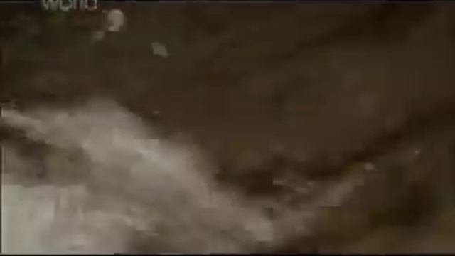Виды наводнений.