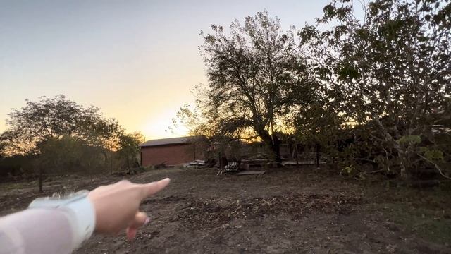 Дом стоимостью 3,2 млн. ₽/ Кореновский район/ Сад, участок 17 соток/ смотреть онлайн