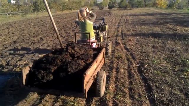 Развозим перегной на участок для посадки чеснока