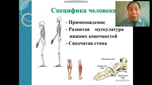 Сапаргалиев С К смотреть онлайн
