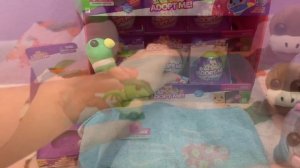 Hatching Adopt me eggs in REAL LIFE! New adopt me Roblox toys unboxing