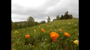 Экотропа Лог Арбанак Гора Аргут