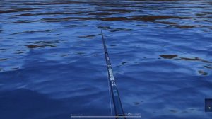 Russian Fishing 4 Поплавок спортивная проводка, болонская снасть.